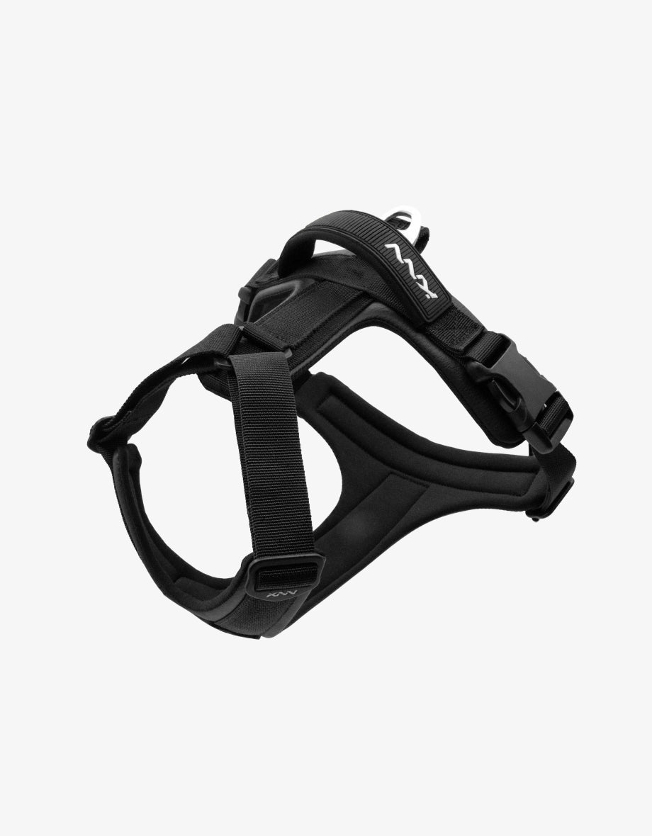 Carbon Harness